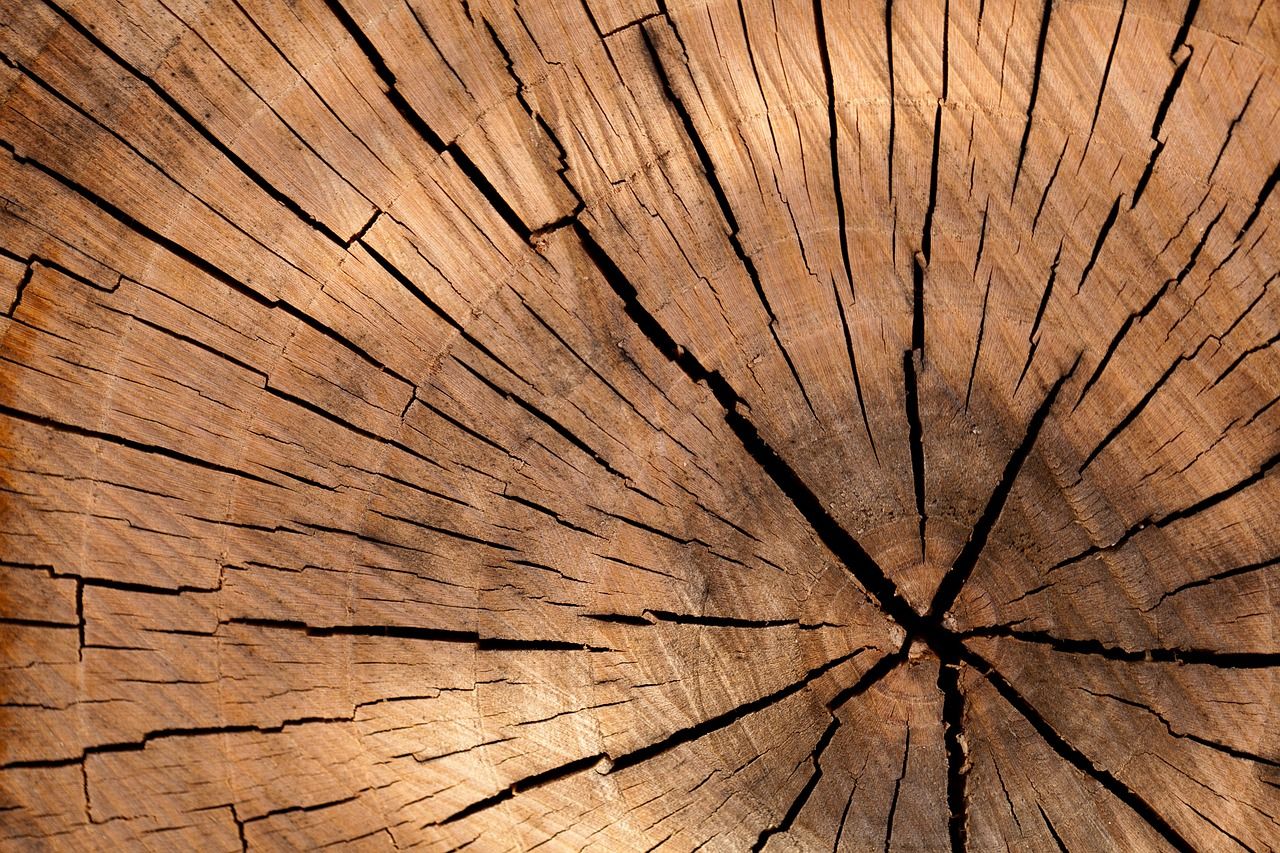 Drewno klejone - zastosowanie w budownictwie